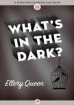 What's In the Dark - kaft MysteriousPress.com/Open Road, 29 september 2015