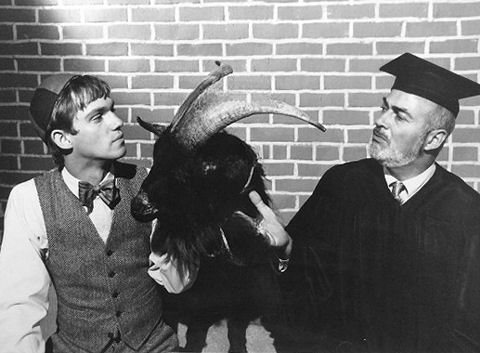 Richard Thomas (L), als John-Boy Walton, ontdekt dat zijn eerste dag op de universiteit een aaneenschakeling van rampen is wanneer hij wordt misleid om een geit naar prof. Ghote, het hoofd van de afdeling Engels (Lawrence Dobkin), te brengen in "The First Day" ("The Waltons", CBS, 19 sep 1974).