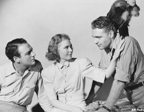 In "The Crime of Doctor Hallet" (Universal, 11 maa 1938) speelden William Gargan, Josephine Hutchinson en Ralph Bellamy samen in een film.