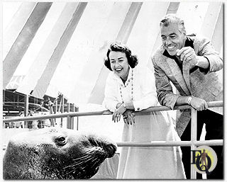 "Motion picture stars Margaret Lindsay and Cesar Romero greet George, trained sea elephant featured in Pacific Ocean Park's sea circus which will be part of tour to be made by Christmas Fun Club sponsored by North Hollywood area YMCA today, tomorrow and Wednesday.