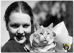 Marian in a promotional photo for "Torchy's Kitty Coup" (1933)