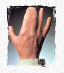 "Nino"'s right hand index and middle finger are merged... - detail from English Penguin cover