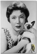 Persfoto voor Gladys Holland met Siamese kat, gedateerd 8 september 1956.